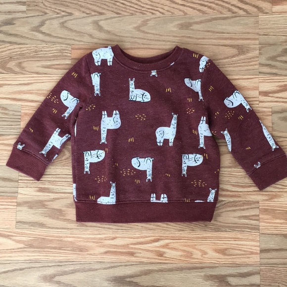 lyle & scott hooded softshell jacket